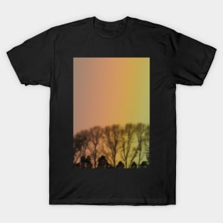 subtle rainbow T-Shirt